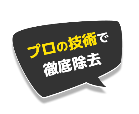 プロの技術で 徹底除去