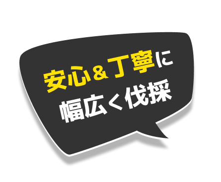安心＆丁寧に 幅広く伐採