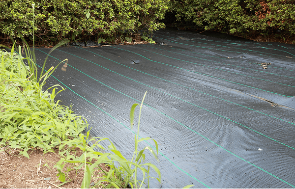 グランドカバー