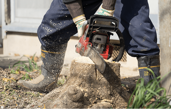 伐採後の処理の様子